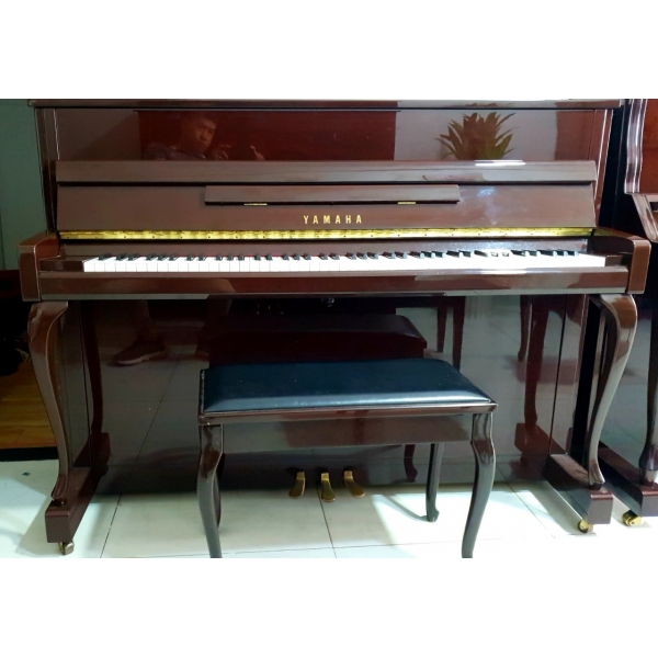 dao inox cối xiết gân