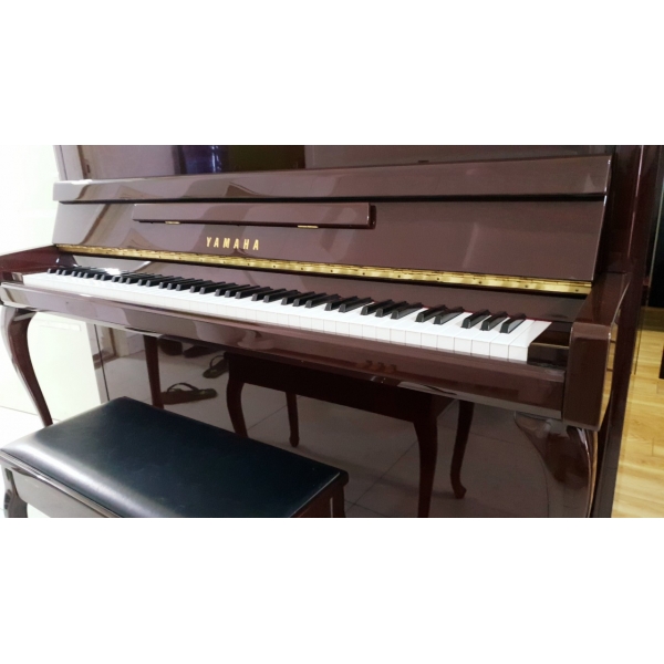 dao inox cối xiết gân